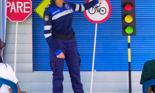 TECNICO SEGURIDAD VIAL TÉCNICO EN SEGURIDAD VIAL