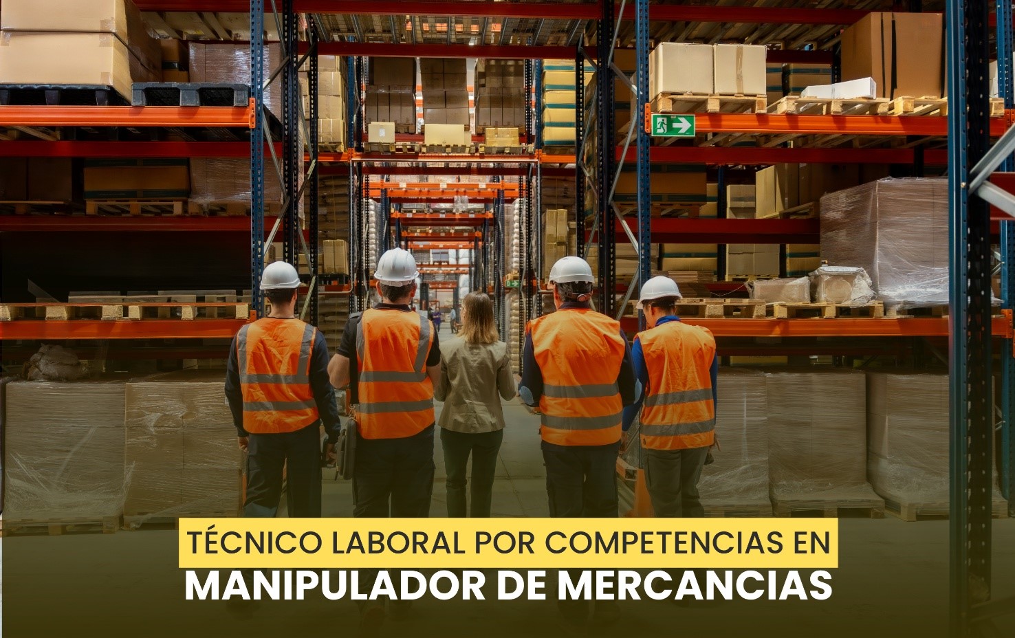 manipulador de Mercancías